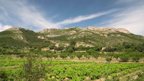 landscape mountains sunny day