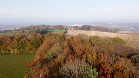 Aerial-landscape-view-of-autumnal-trees-and-cultivated-fields,-in-the-England-countryside