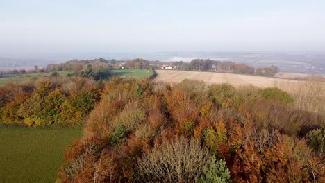 aerial landscape view of autumnal trees and cultivated fields, in the england countryside