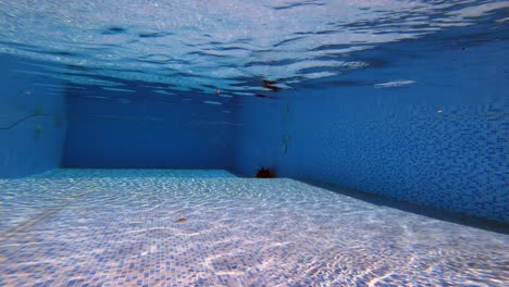 a robotic pool cleaner glides along the wall of a swimming pool under clear blue water. captured in natural sunlight, showcasing efficient smart technology for pool maintenance.