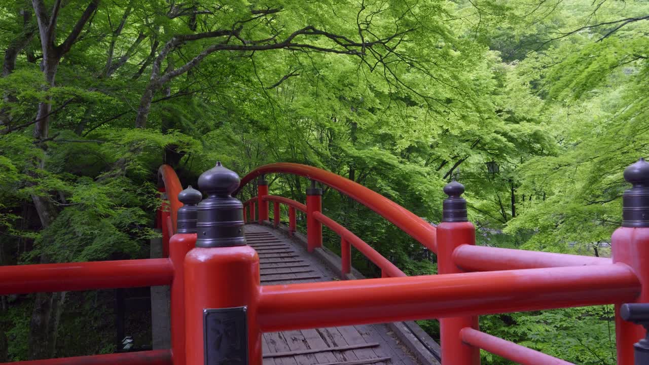 Slow motion cinematic push in toward red wooden bridge in Japanese forest