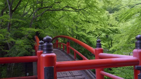 slow motion cinematic push in toward red wooden bridge in japanese forest