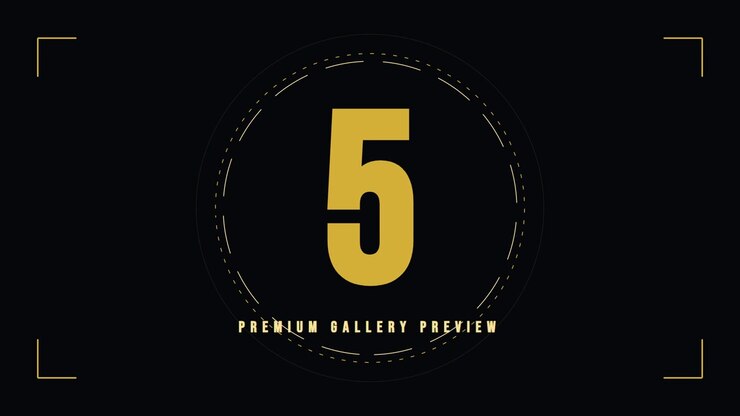Digital Countdown Timer for Premium Gallery Preview