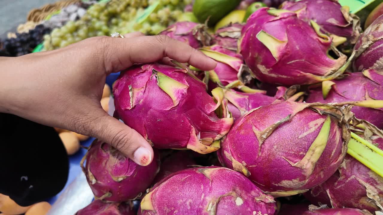 Hand Selecting Fresh Dragon Fruit at an Outdoor Market