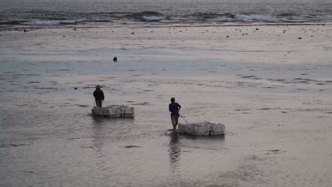 two vietnamese locals pulling boxes on the shore for picking up seaweed in the sea at dusk
