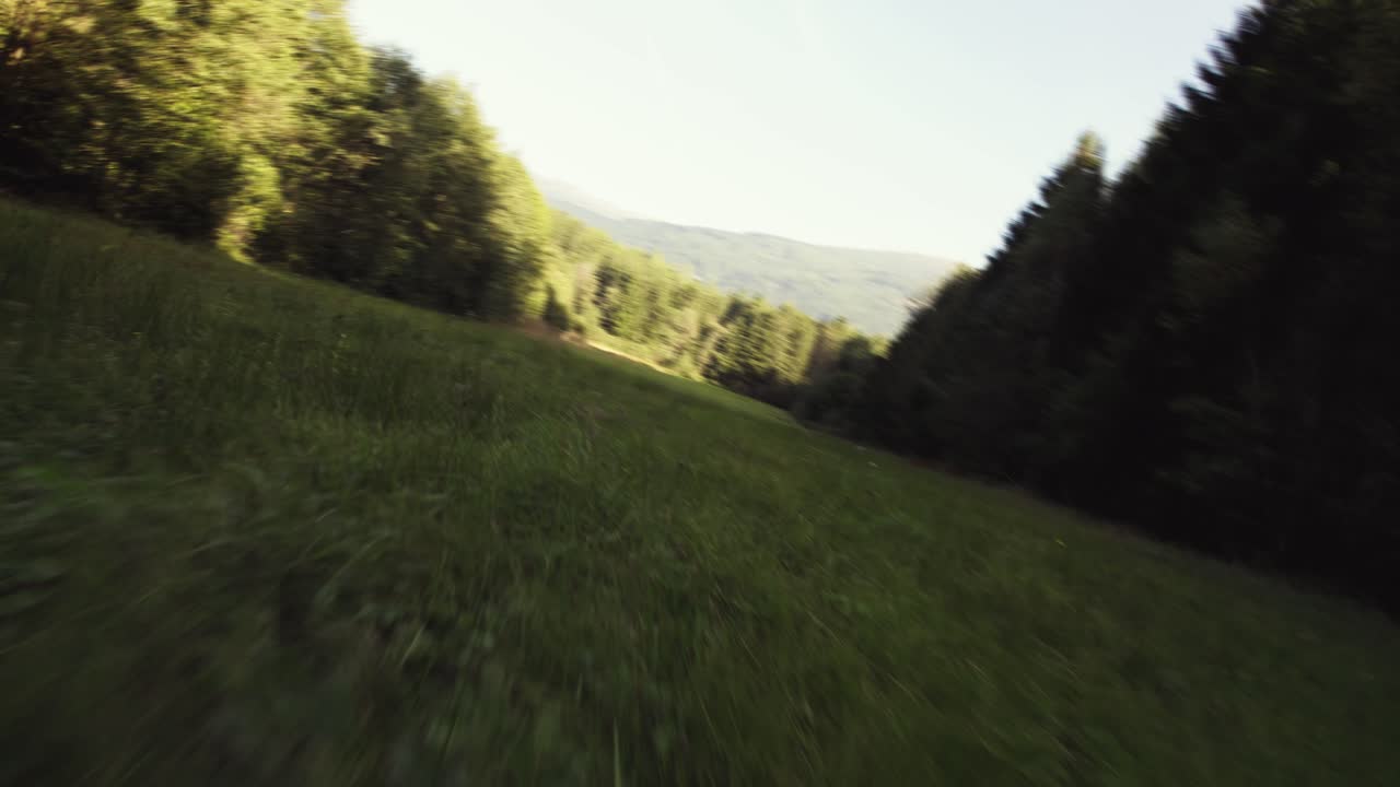 drone fpv, che vola direttamente sopra il campo erboso, gli alberi della foresta, il caldo sole serale che splende sullo sfondo