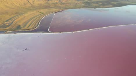 aerial view of pink lake water under desert hills by great salt lakes, utah usa