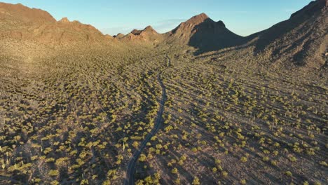 Straßen--Und-Wüstenlandschaft-In-Tucson-Arizona---Luftdrohnenaufnahme