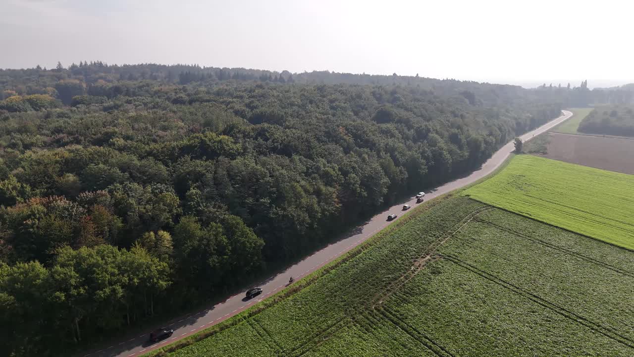 Aerial View of Road Through Forest and Fields