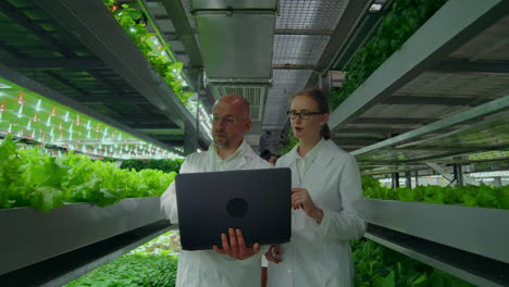 man and a woman with a laptop in white coats scientists go down the corridor vertical farm. man and a woman in white coats are discussing about green plants