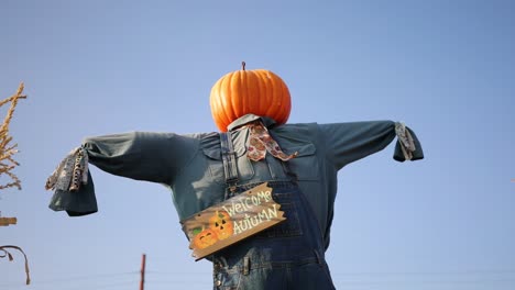 Autumn-Festival-Pumpkin-Scarecrow-dressed-in-denim,-tilt-down-shot