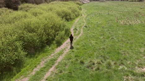 disparo aéreo de una mujer caminando por un camino en el campo