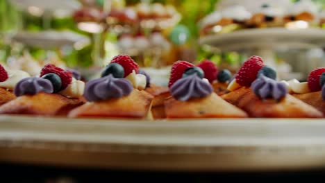 Small-fruit-cakes-on-dessert-table,-close-up-slide-left