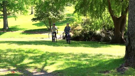 una pareja feliz haciendo un paseo en bicicleta por el parque