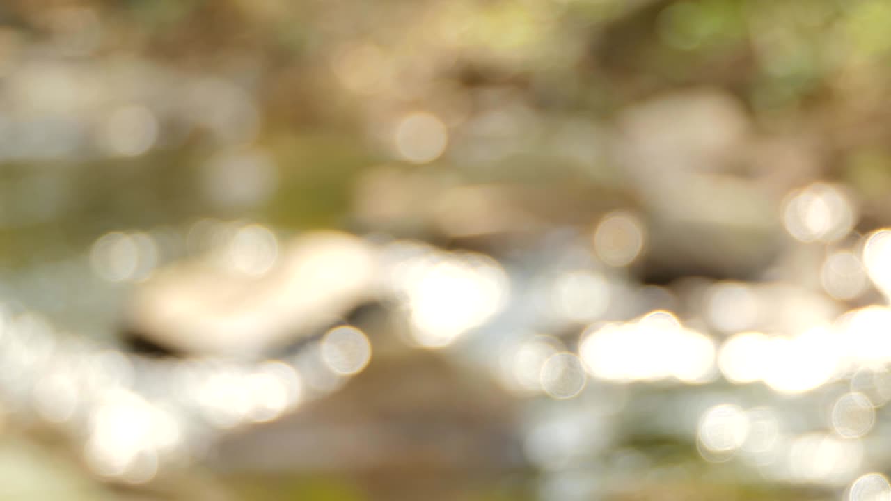 movimiento borroso de la luz en la superficie del agua.