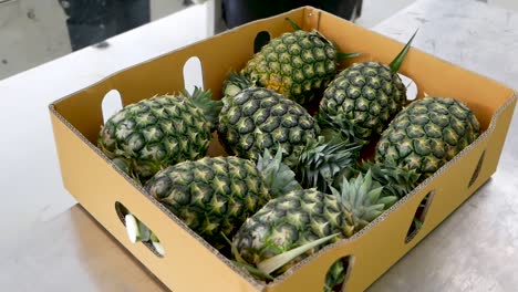 empaque de piña en una caja filmada en gh5 con 12-35 f2