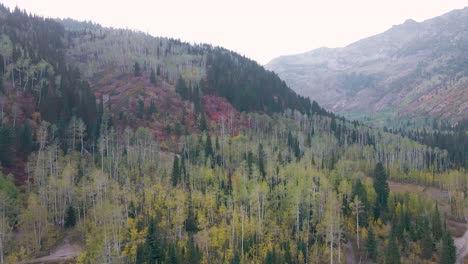 Amazing-Utah-Wasatch-Range-forest-during-fall,-aerial-view