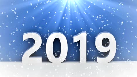 2019 nieve