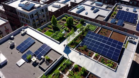 urban rooftop gardens with solar panels