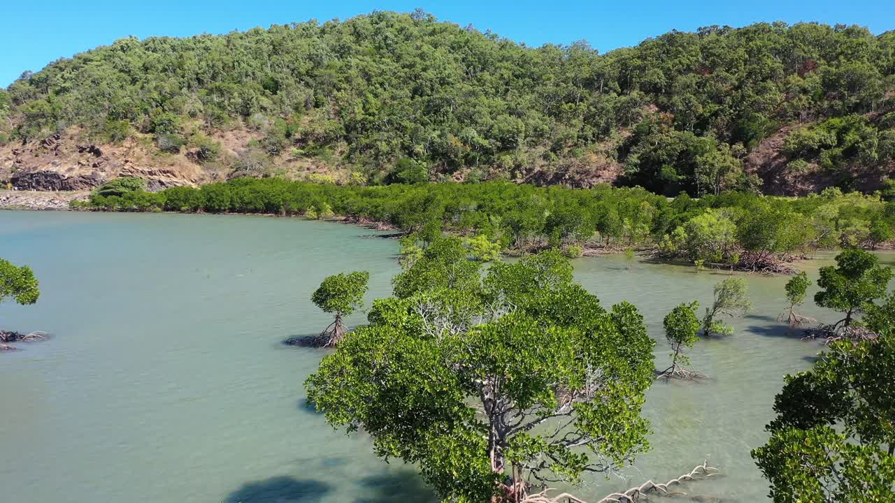 케언즈 - 맹그로브 해변 비행