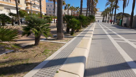 palm-lined promenade with urban playground in cádiz