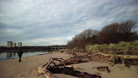 River-Don-estuary-looking-towards-Bridge-of-Don-with-a-walker-passing-trees-washed-down-with-the-floods