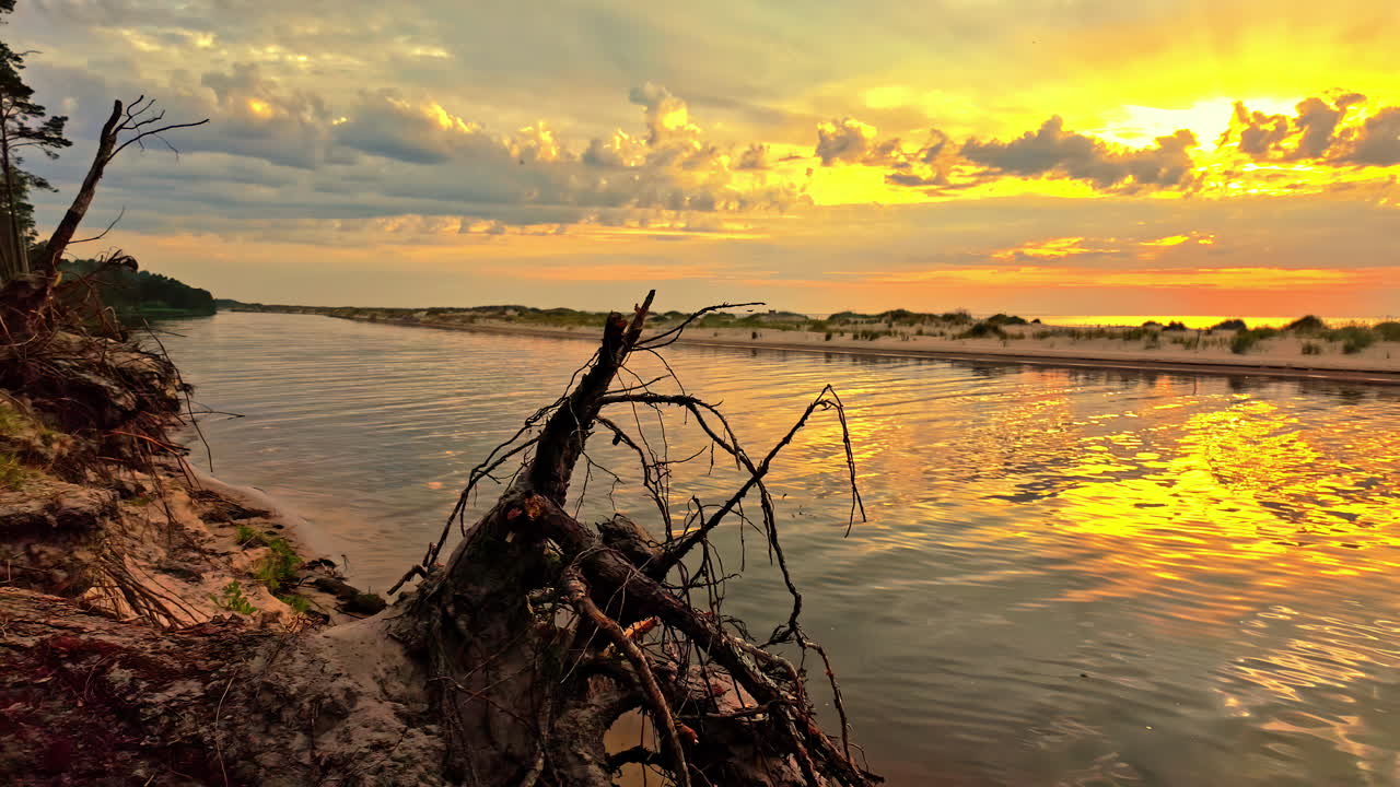 Golden Sunset over a River by Sand Dunes with Driftwood