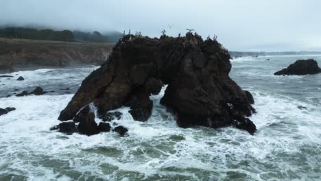 Cámara-Lenta-De-Olas-Rompiendo-En-Roca-Arqueada-Mientras-Las-Aves-Marinas-Aterrizan,-Bahía-De-Bodega-Del-Condado-De-Sonoma,-California