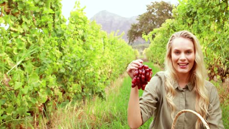 Blonde-winegrower-handing-a-red-grape