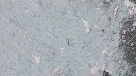 aerial top view of people hiking on the ice surface of virkisjokull glacier, iceland