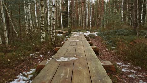 winding wooden pathway in middle of dense forest, dolly forward