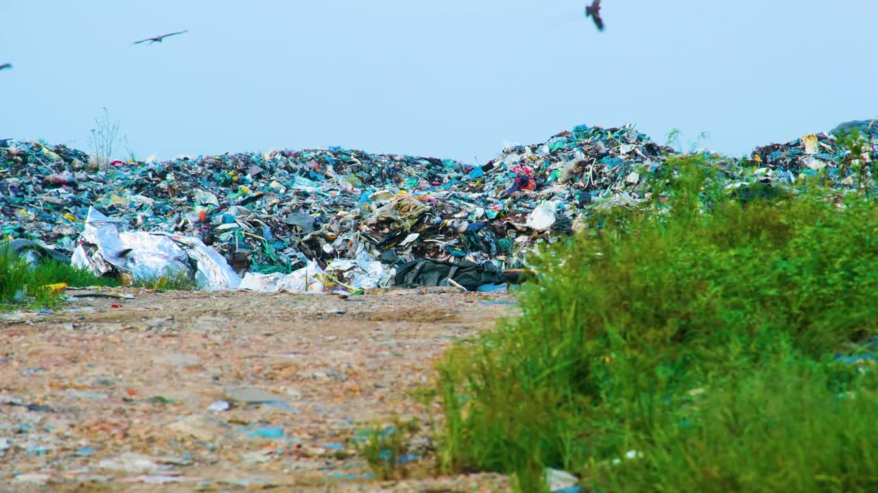 playa del océano con desechos plásticos, basura