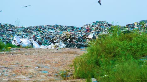 ocean beach with plastic waste, garbage