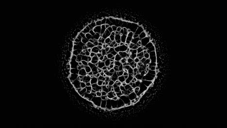 Red-Neuronal-Micelial-Orgánica-En-Crecimiento.