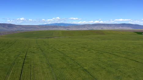 sube sobre el campo de trigo hacia el desfiladero de columbia