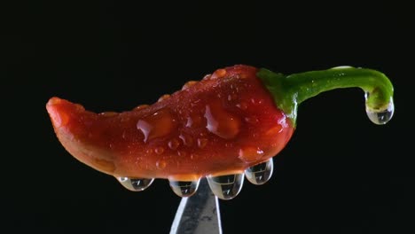 agua siendo rociada sobre un chile rojo en la parte superior de un cuchillo