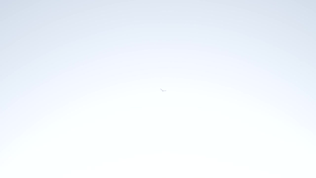 På avstånd flyger en ensam fågel iväg in i ett vitt moln och försvinner ur sikte