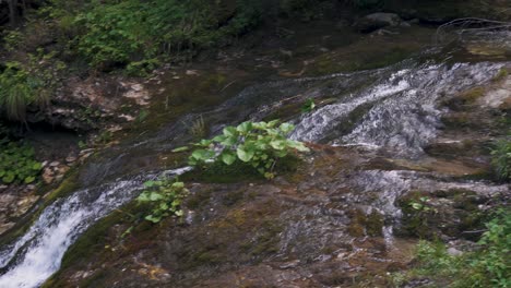 Parque-Nacional-De-La-Montaña-Tatra-Zakopane-Polonia