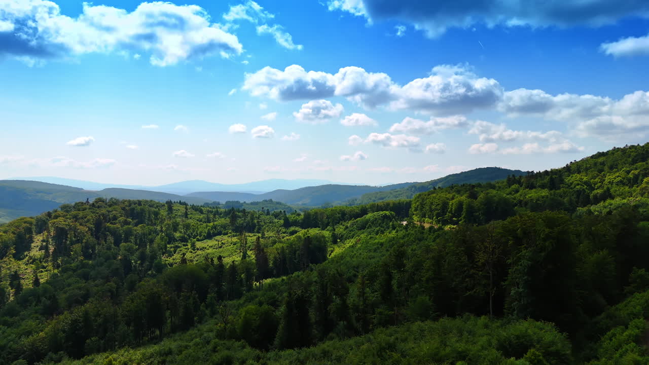 Lush greenery covering the rocky landscape. Drone footage over the verdant Tatra Mountains on sunny day.