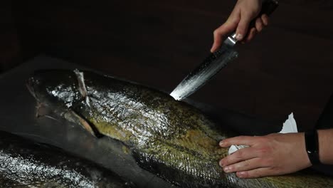 preparación del bagre