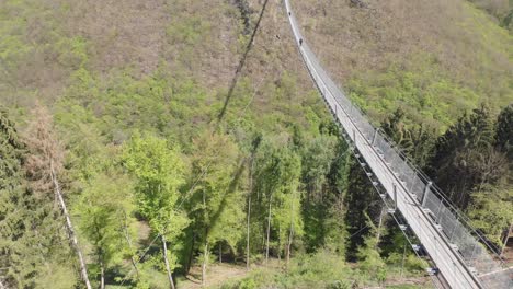 people crossing a valley through geierlay suspension rope bridge while birds fly around