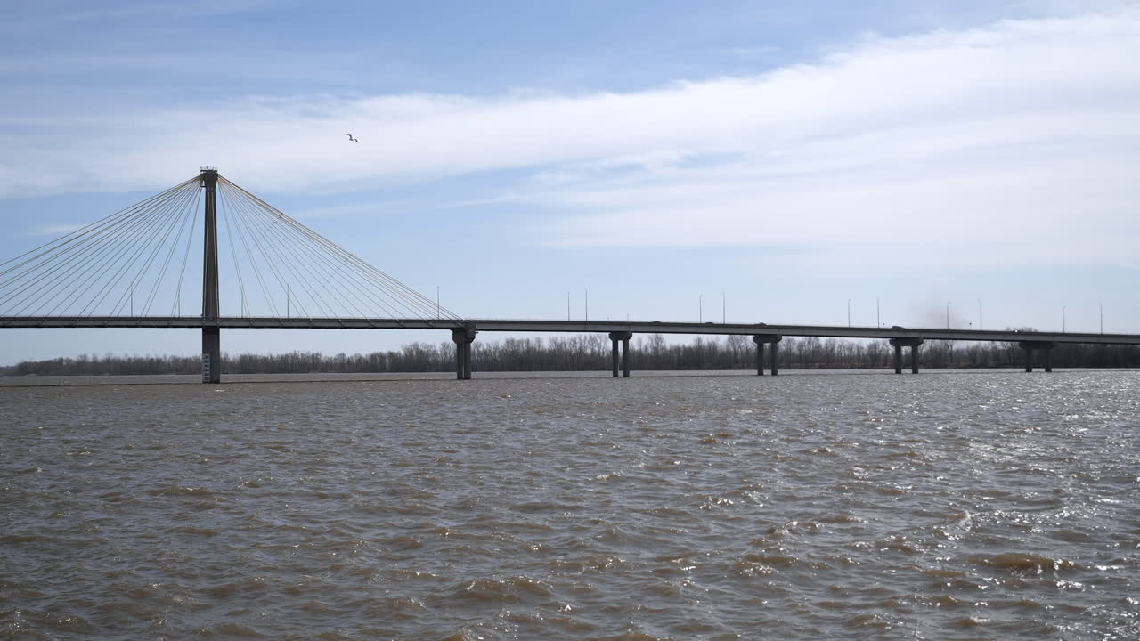 Bridge over river, bird flying, still footage