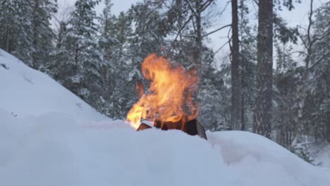 a bonfire amidst a wintry scenery - close up