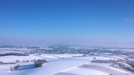 frozen winery region near zistersdorf town in weinviertel, lower austria