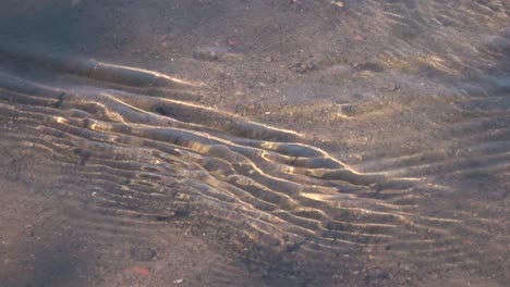 Ríos-Salmoneros-Con-Un-Pequeño-Arroyo-23