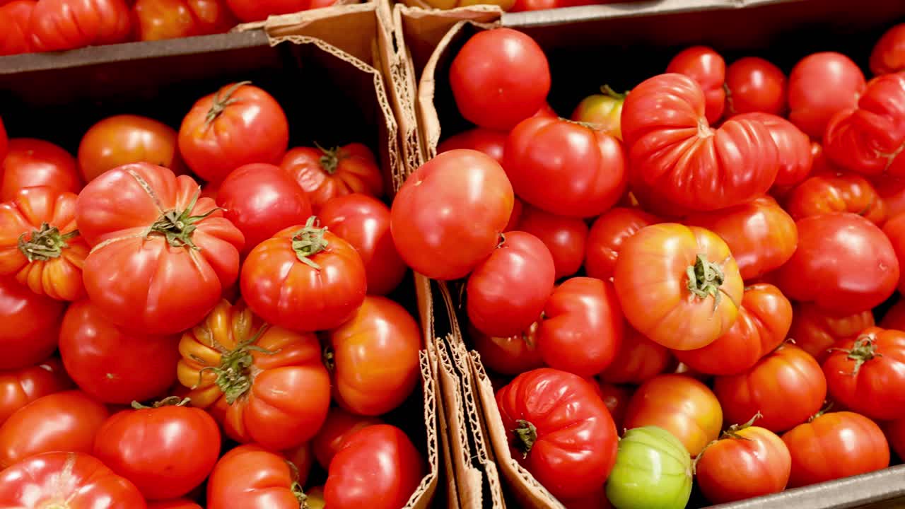 카드보드 상자 에 전시 된 여러 가지 토마토