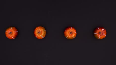 pumpkins spin in circle on black theme. stop motion