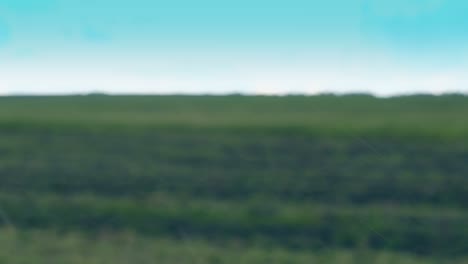 green and black field in heavy rain under clear blue sky