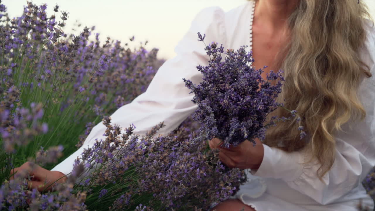 Woman in a white dress gathering a bouquet of lavender in a field
