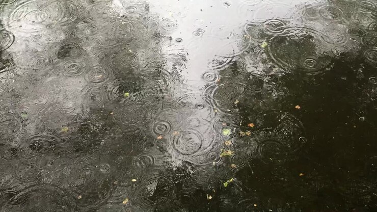 Gocce di pioggia sull'acqua con foglie bagnate.